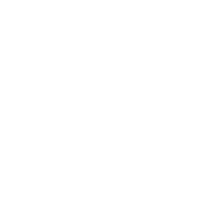 icon 14