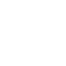 icon 15