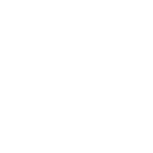 icon 16